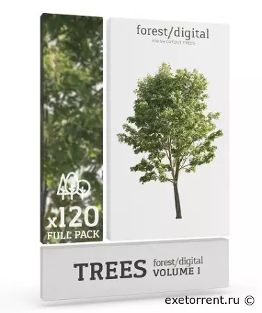Forest/Digital Volume 1 – Trees