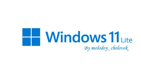 Windows 11 Pro Lite