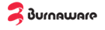 BurnAware Professional 16.9 Final (2023) PC | RePack & Portable by KpoJIuK