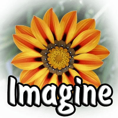 Imagine 1.1.6 + Plugins (2022) PC | + Portable